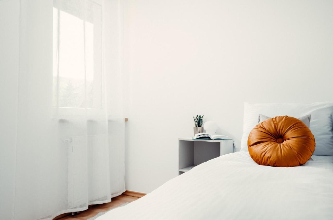 Giewont Mountain View Apartment زاكوباني المظهر الخارجي الصورة